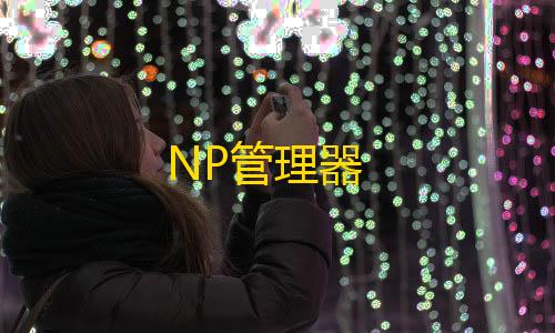 和平精英ios怎么开挂NP管理器